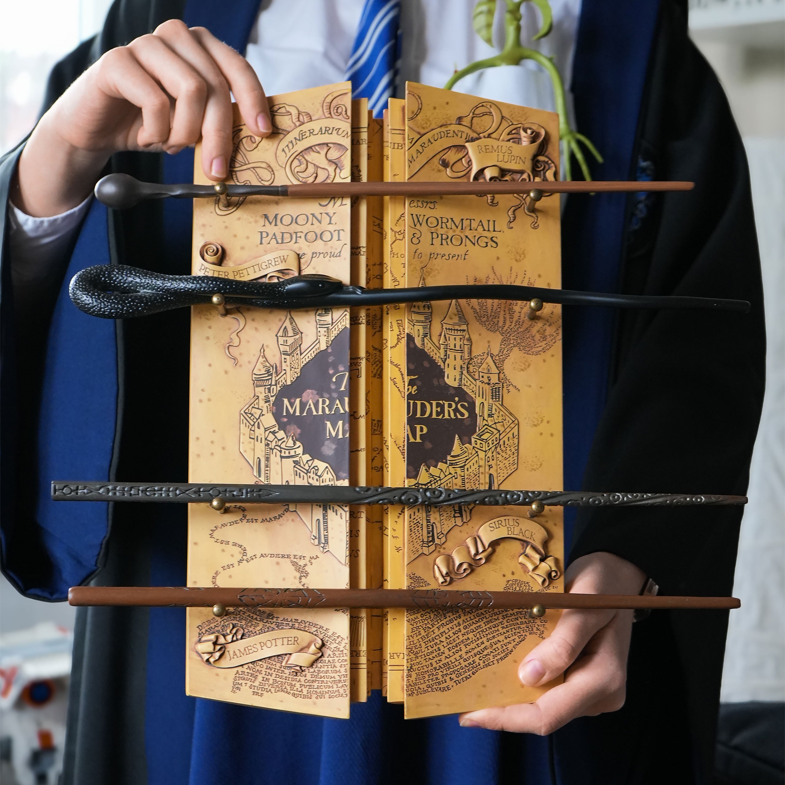 Harry Potter - Marauder's Map Wand Collection – Elbenwald