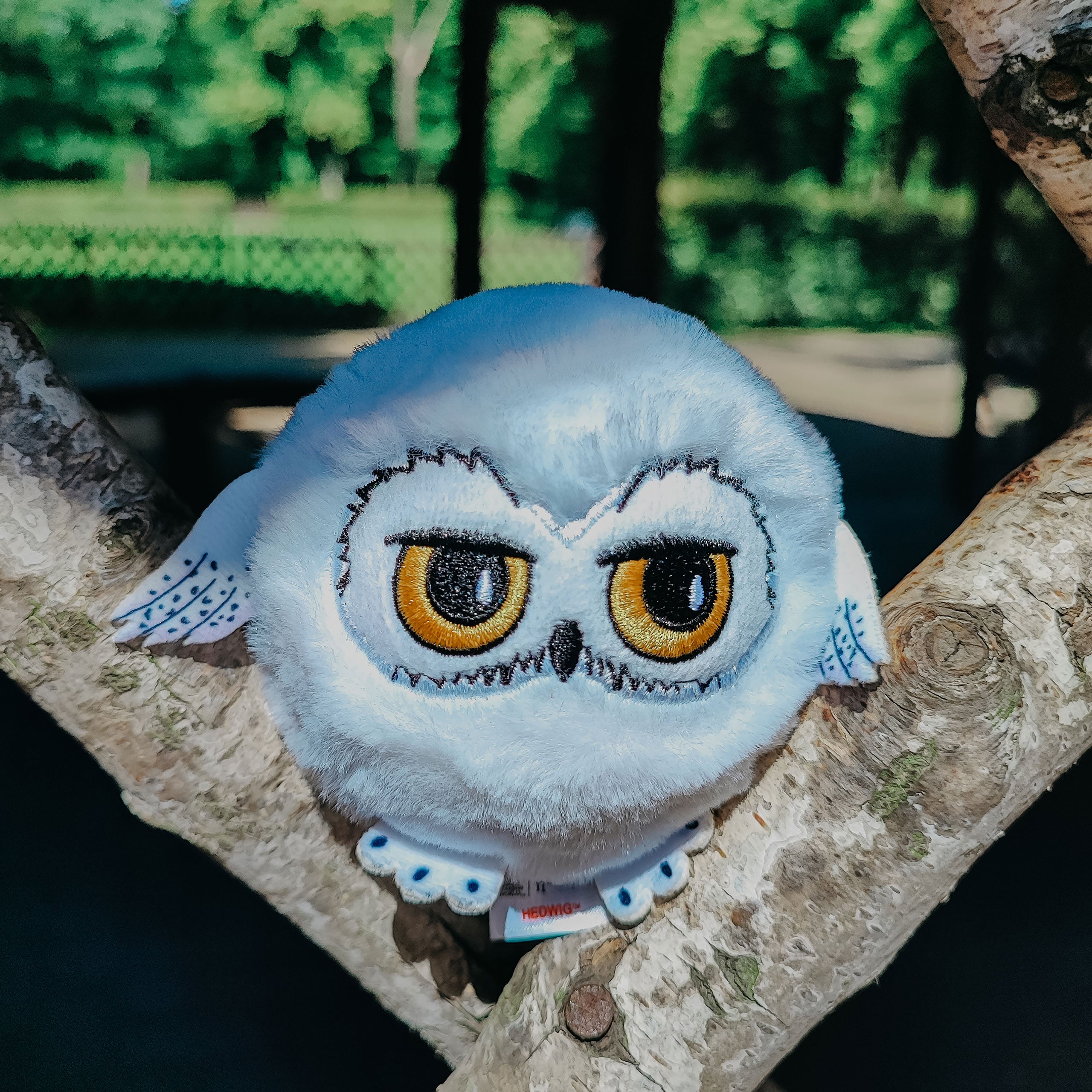 Hedwig Beanie Bouncers Bouncing Plush Ball - Harry Potter – Elbenwald
