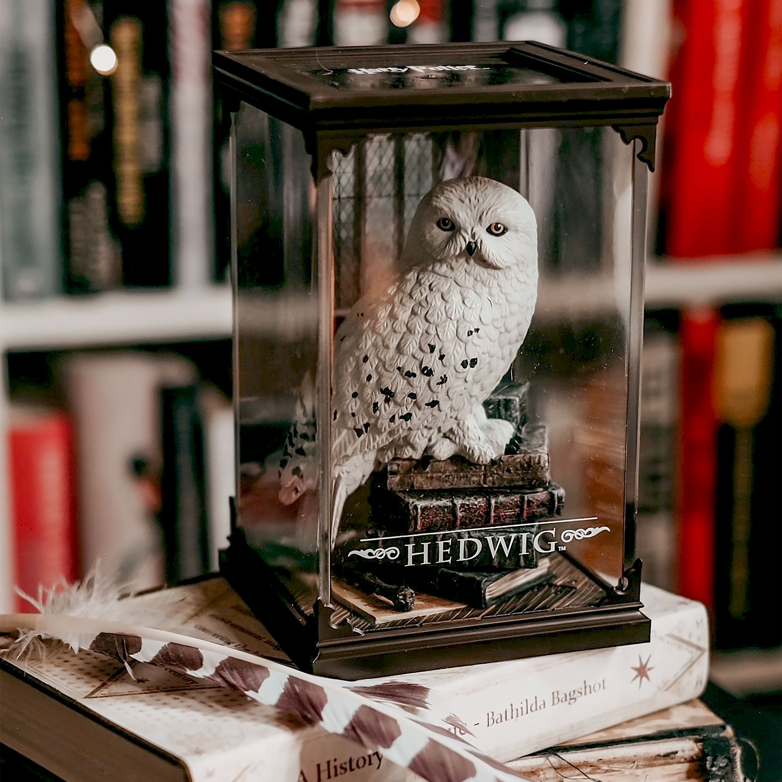 Fantastic Beasts Merchandise – Magic with Fur and Wings | Elbenwald