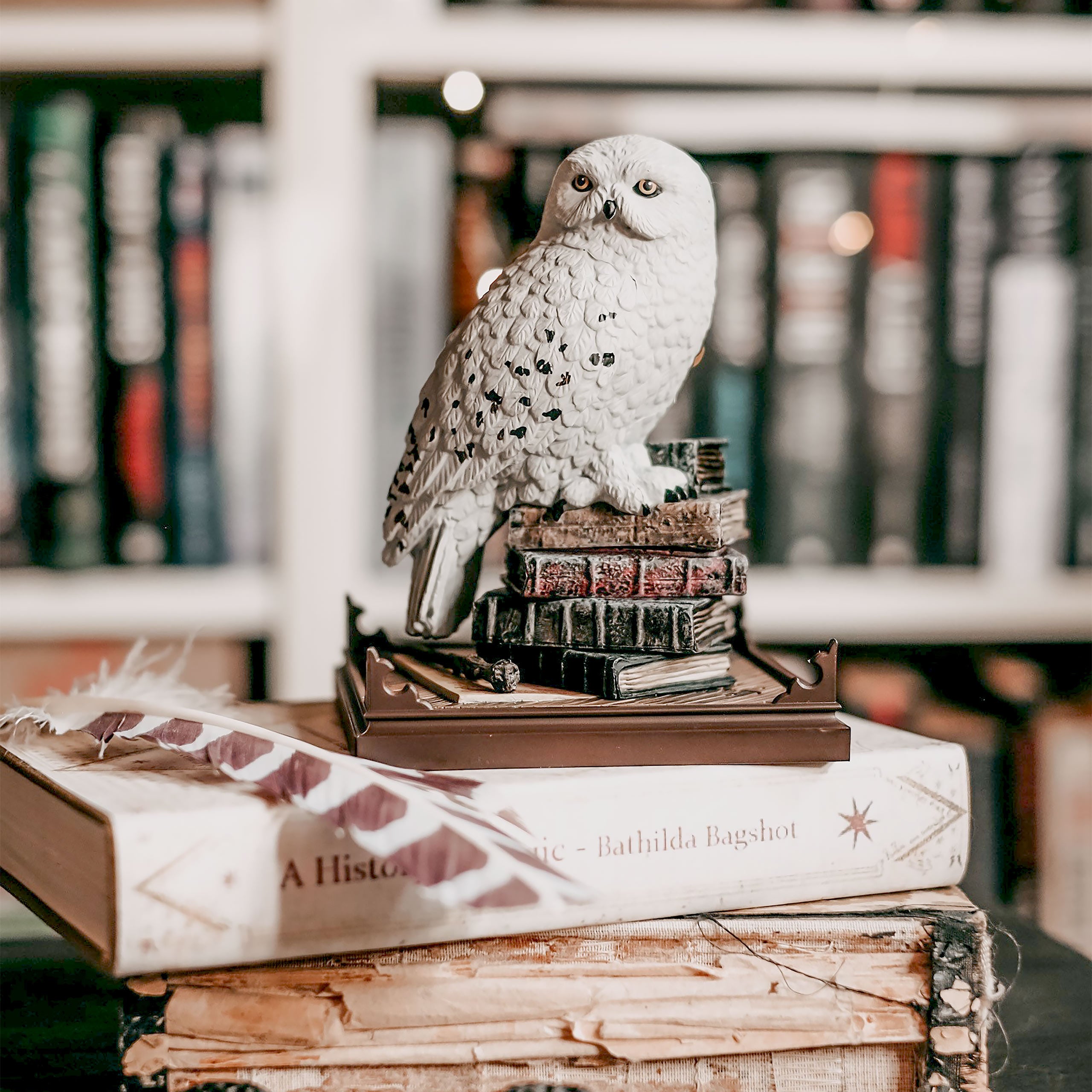 Fantastic Beasts Merchandise – Magic with Fur and Wings | Elbenwald