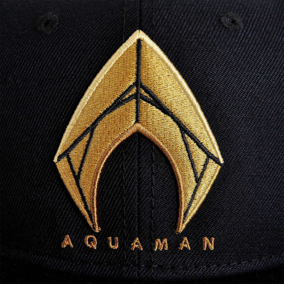 Product image Aquaman Logo Snapback Cap - Justice League