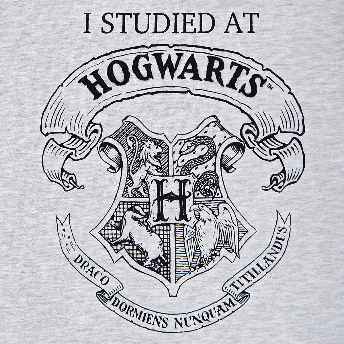 Product image Harry Potter - I Studied at Hogwarts Women's Sweater Grey