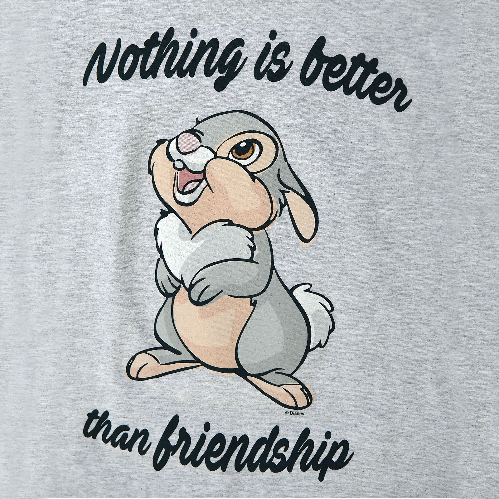Product image Bambi - Thumper Friendship Women's T-Shirt Grey