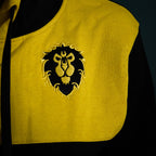 Product image World of Warcraft - Alliance to the End Hoodie