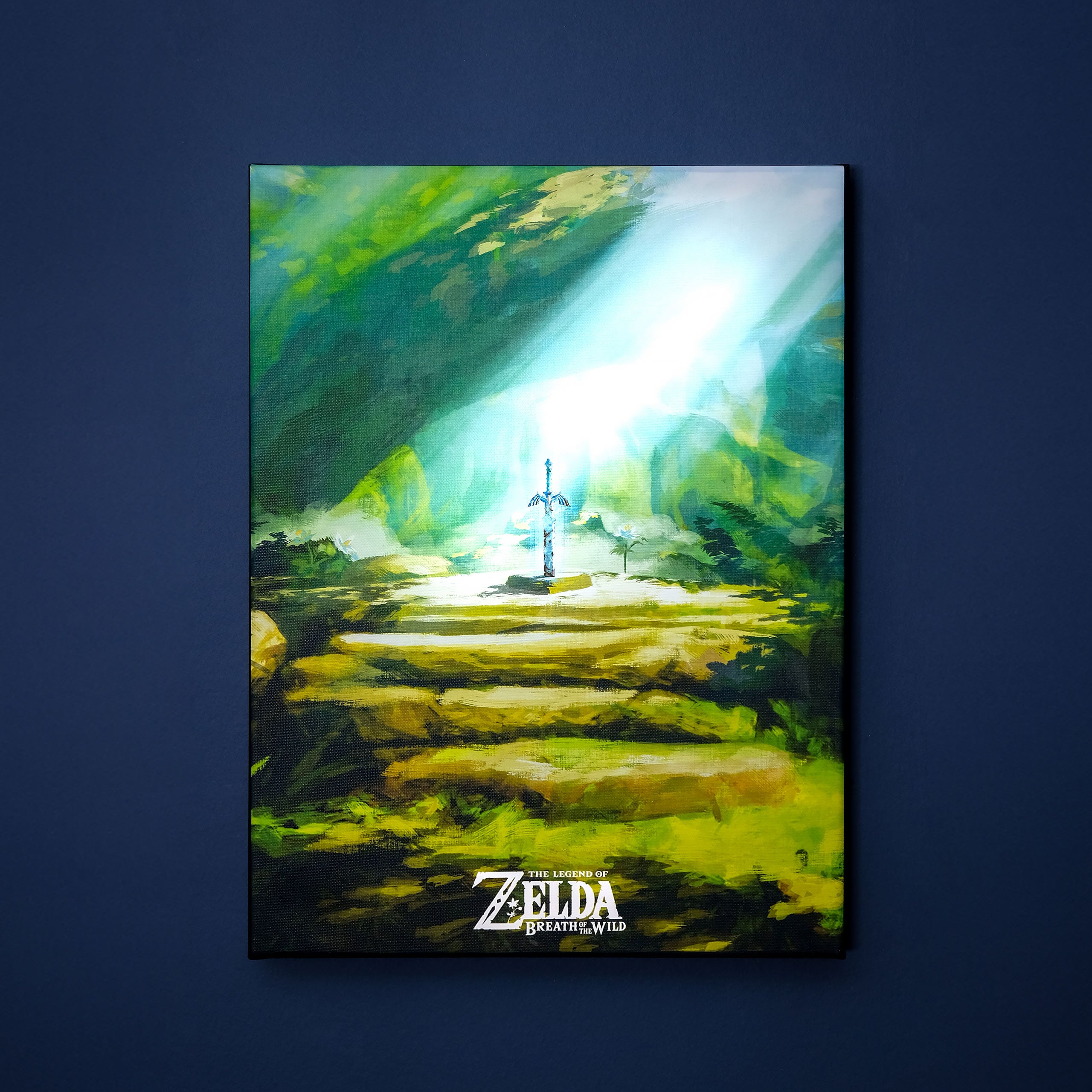 Product image Zelda - Master Sword Wall Art with Light