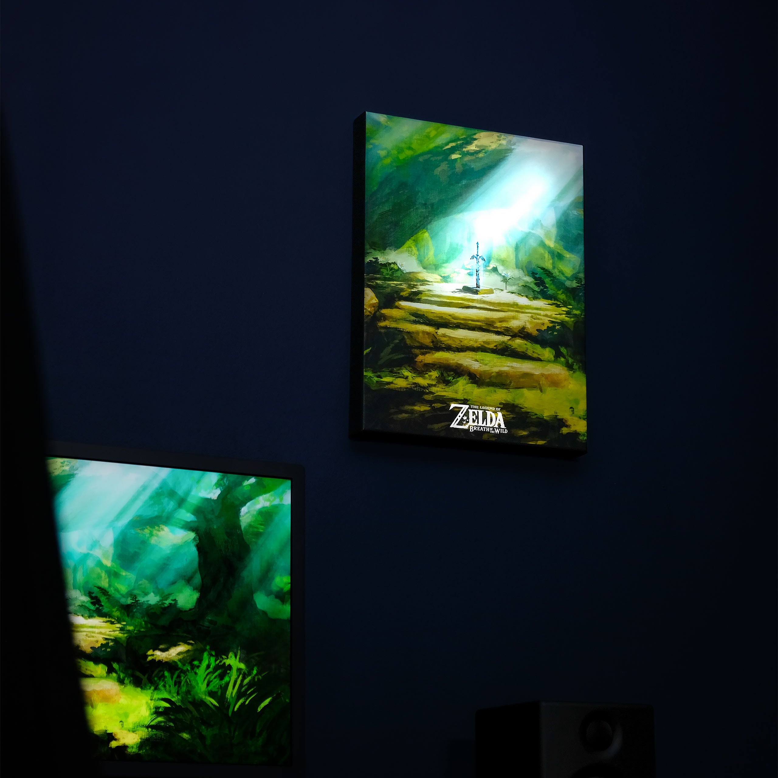 Product image Zelda - Master Sword Wall Art with Light