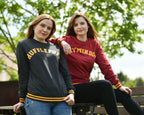 Product image Harry Potter - Hufflepuff College Sweater Grey