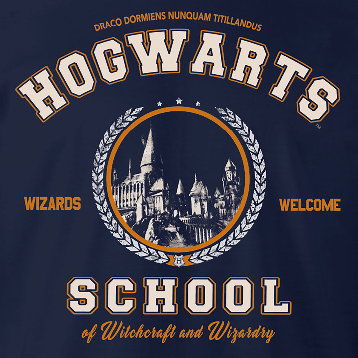 Product image Harry Potter - Hogwarts School T-Shirt blue