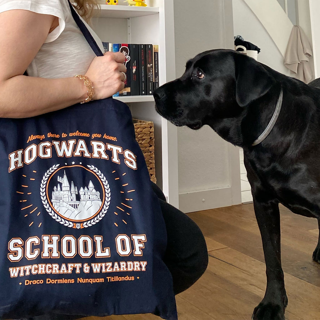 Product image Hogwarts School Jute Bag Blue - Harry Potter