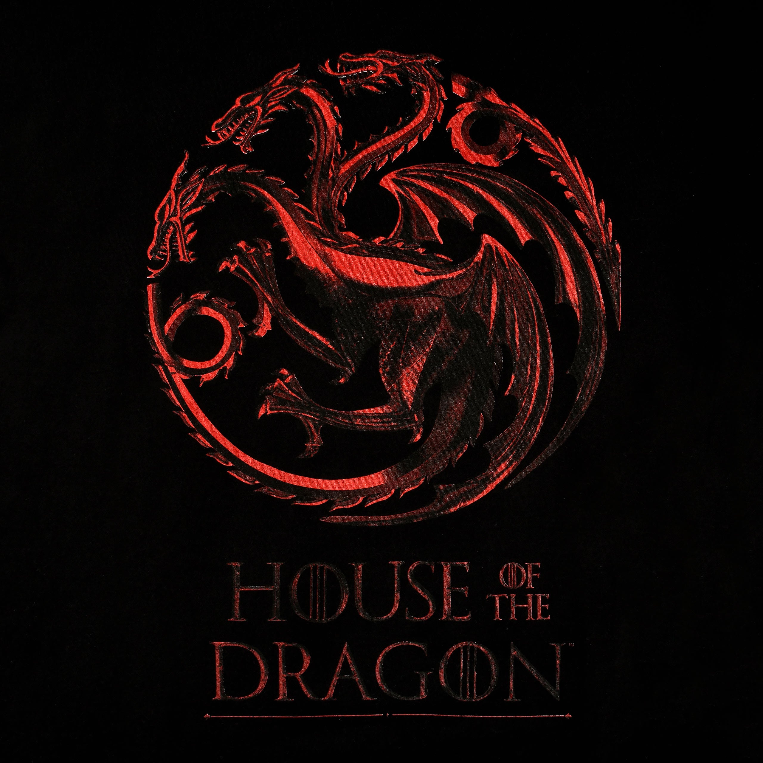 Product image House of the Dragon - Logo T-Shirt black
