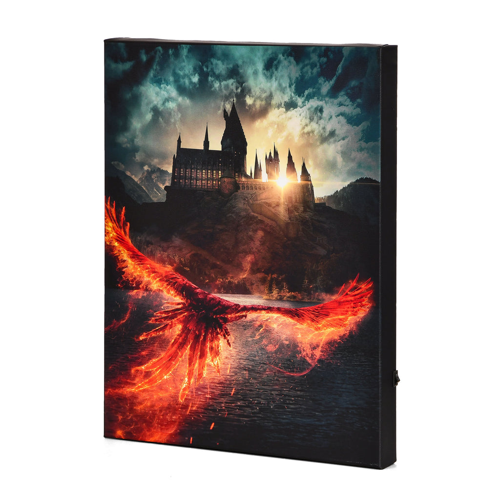 Product image Dumbledore's Secrets Wall Art with Light - Harry Potter