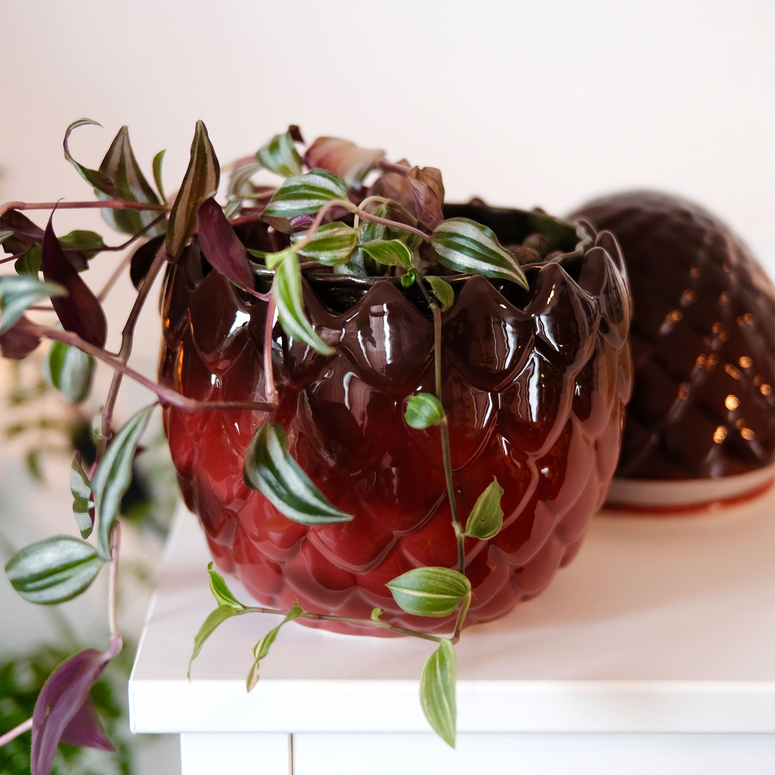 Game of Thrones - Dragon Egg Cookie Jar – Elbenwald
