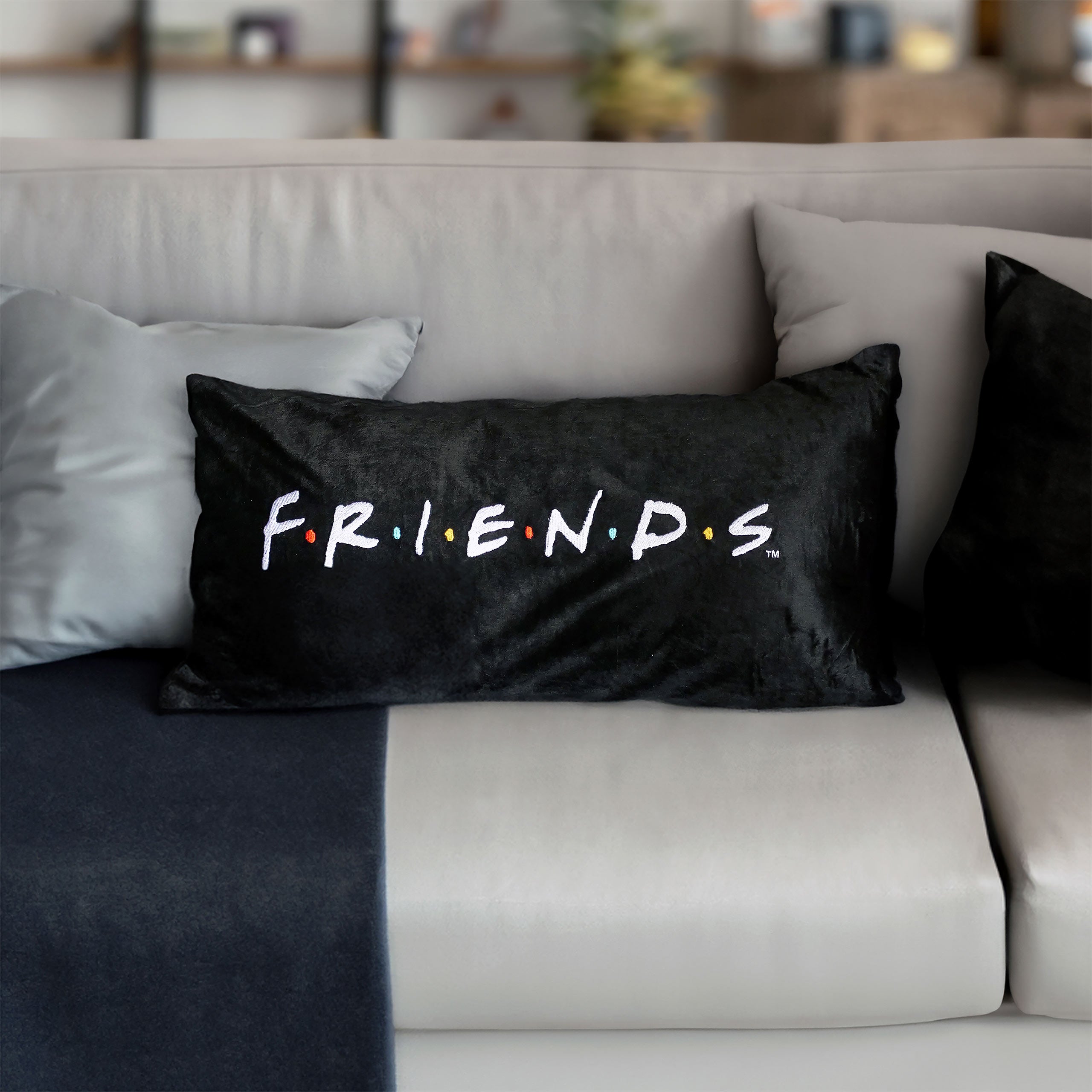 Product image Friends - Logo Pillow