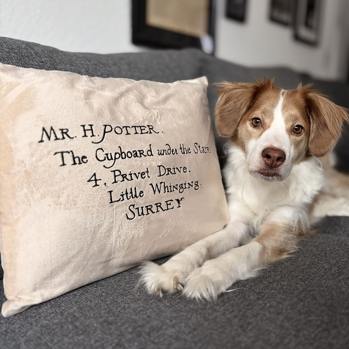 Product image Harry Potter - Hogwarts Letter Pillow
