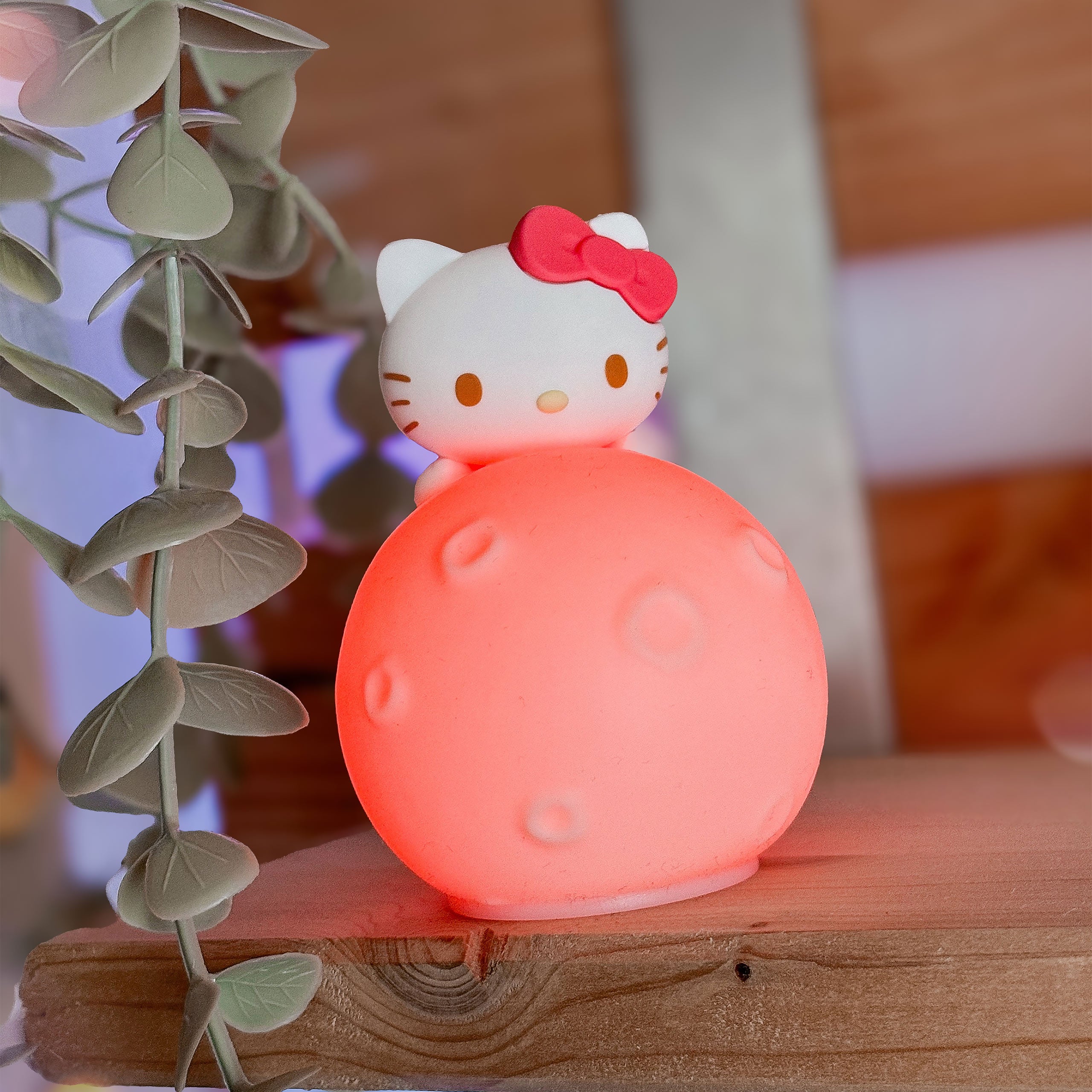 HELLO KITTY　ミニルームライト点灯OK　©️2002　キティ&ダニエル Sanrio - Hello Kitty and Friends Mystery Mini Night Light – Elbenwald
