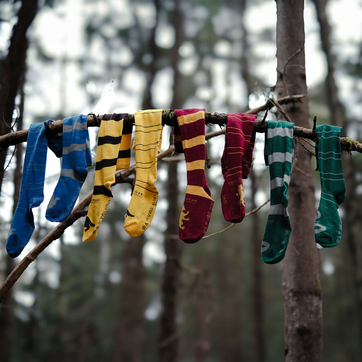 Product image Harry Potter - Gryffindor Overknee Socks 2-Pack