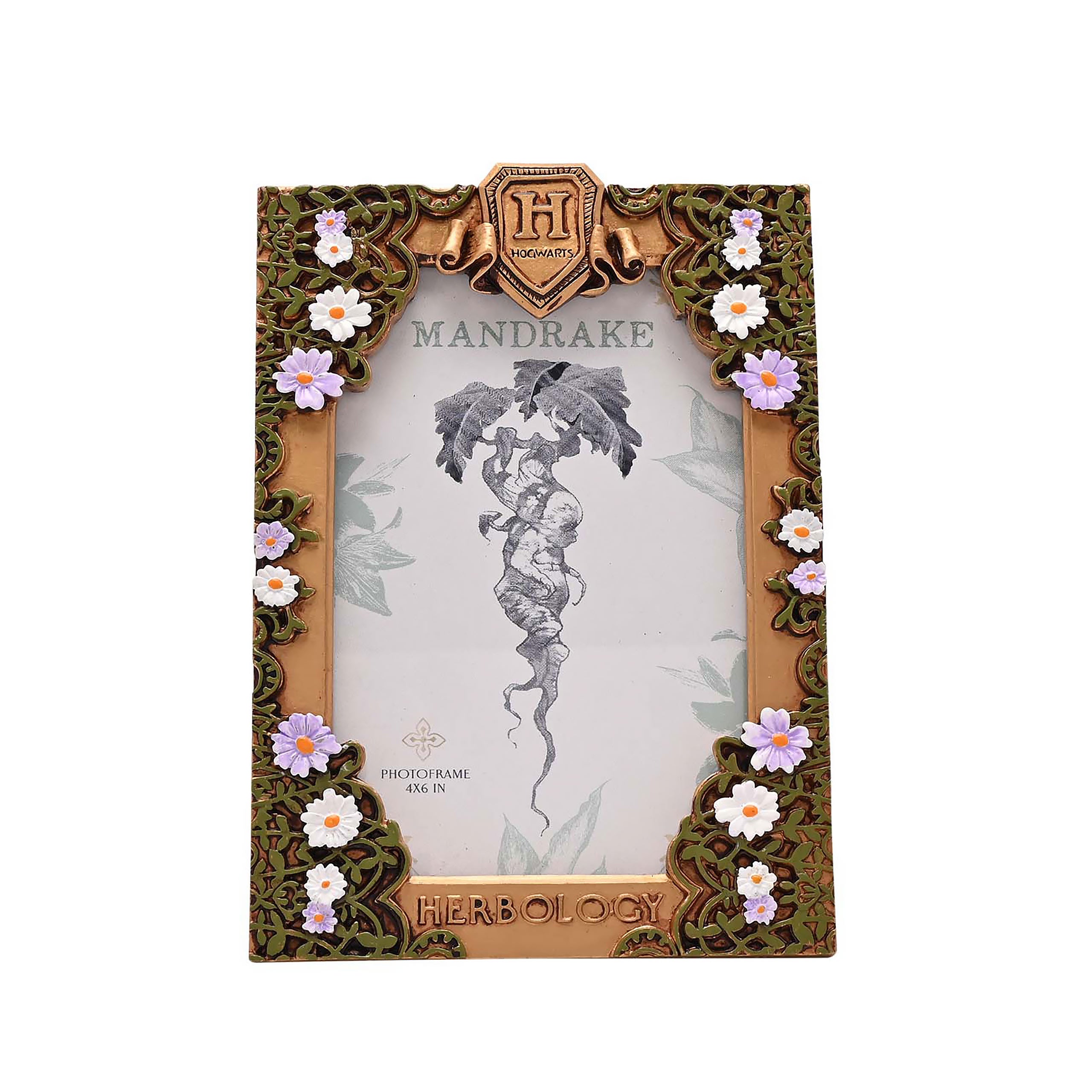 Harry Potter - Herbology Picture Frame – Elbenwald