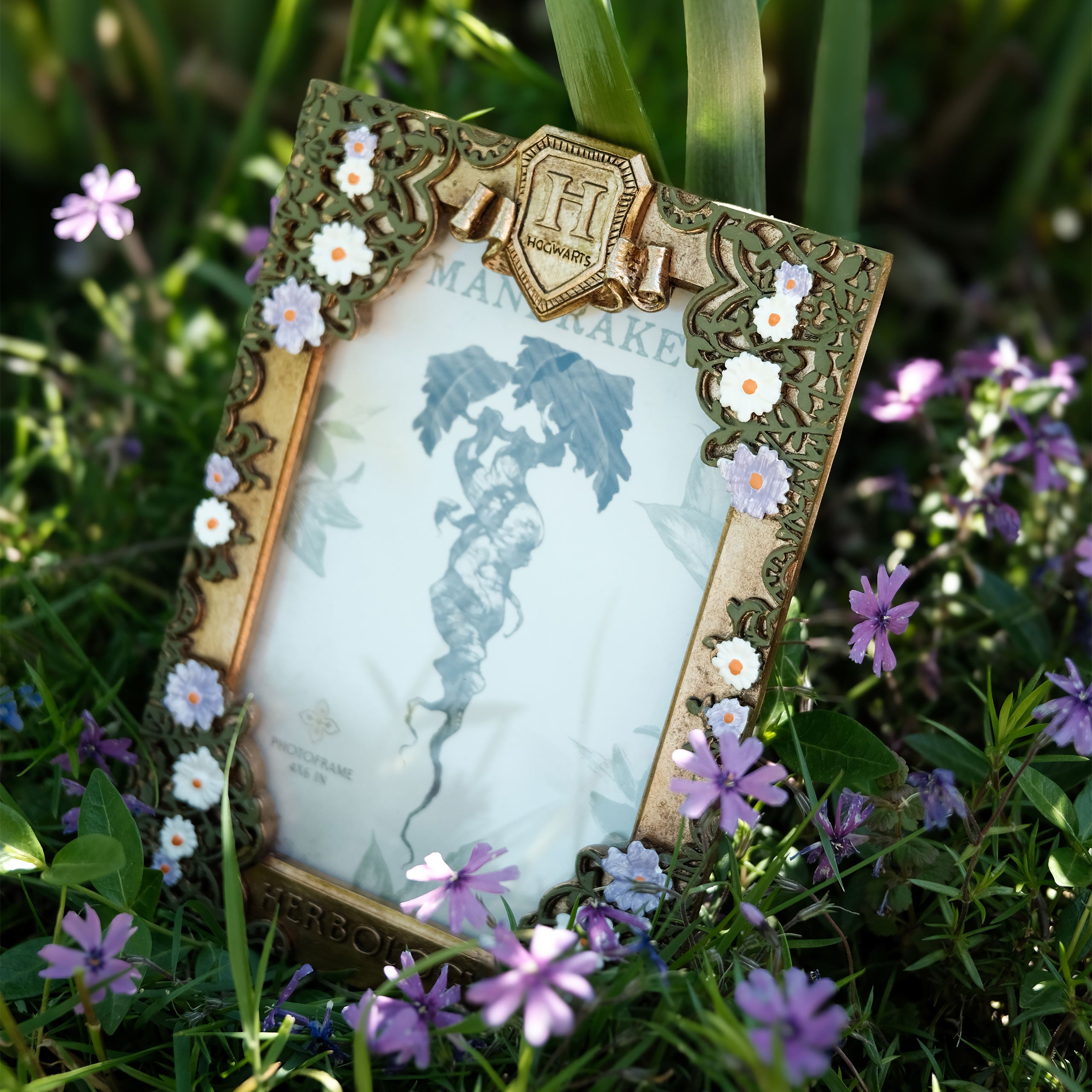 Harry Potter - Herbology Picture Frame – Elbenwald