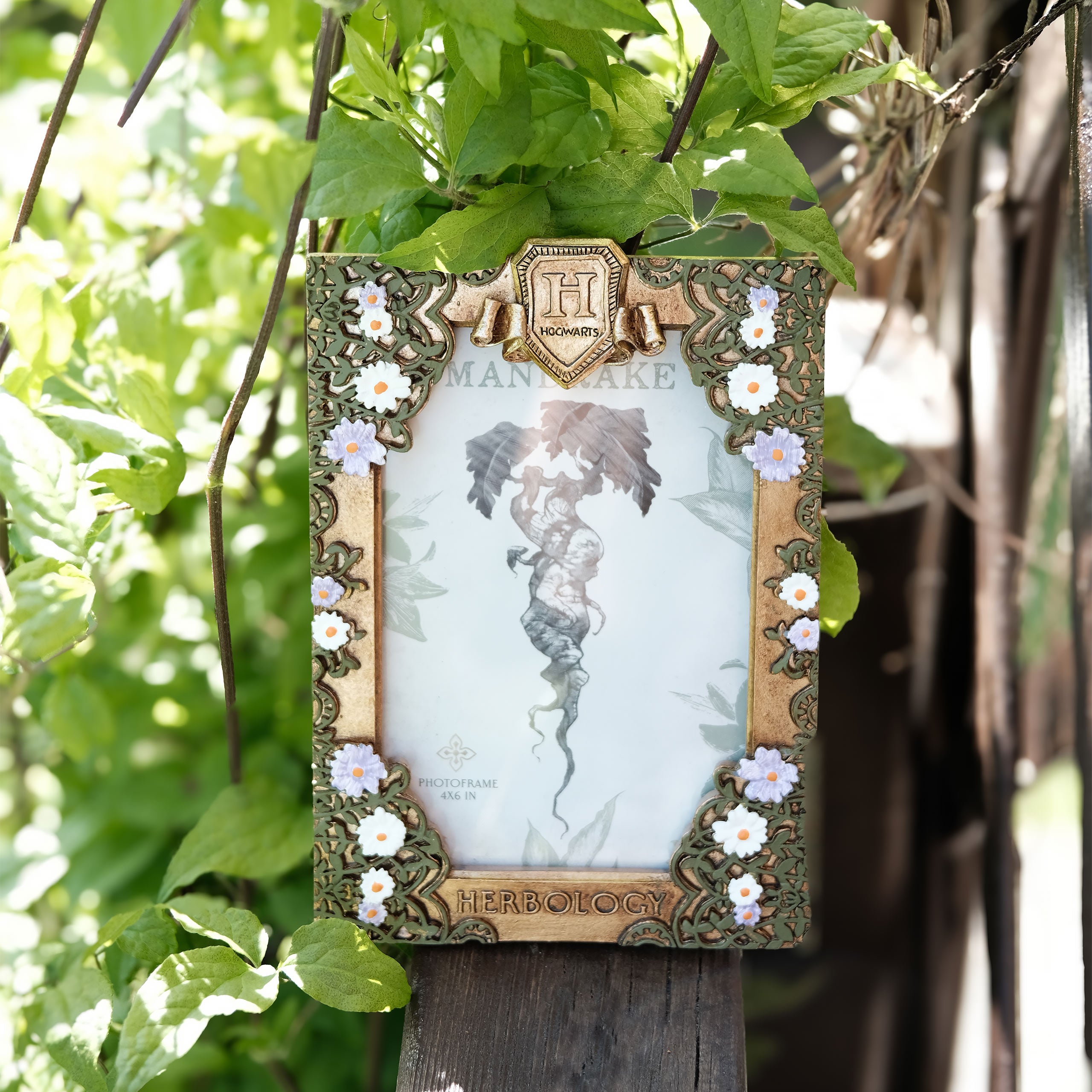 Harry Potter - Herbology Picture Frame – Elbenwald