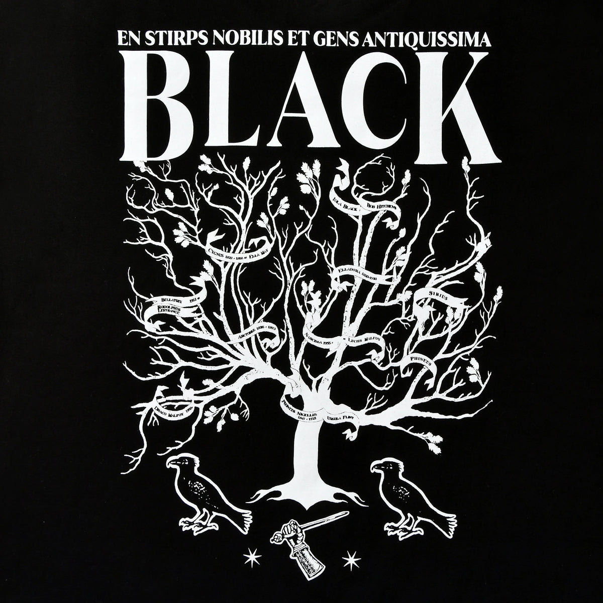 Product image Harry Potter - House of Black T-shirt black