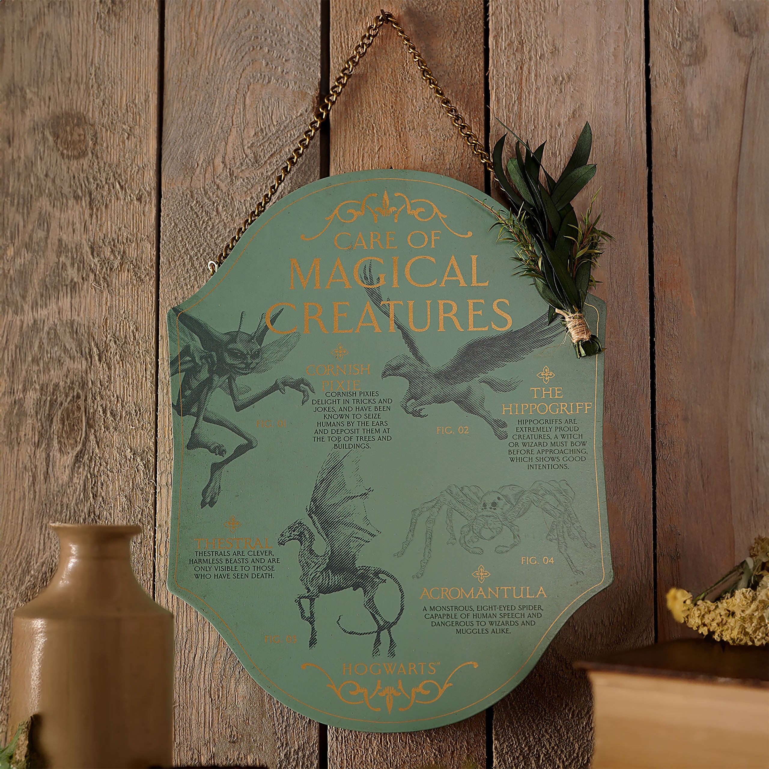 Harry Potter - Care of Magical Creatures Wooden Wall Art – Elbenwald