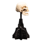 Product image The Lord of the Rings - Skull of a Mordor Orc Mini Statue