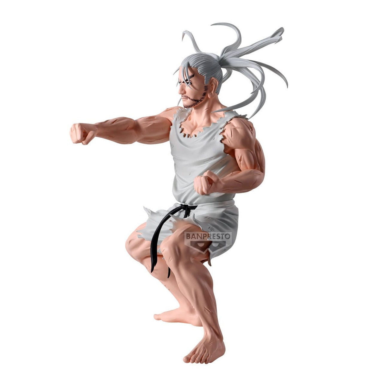 Hunter X Hunter Hunting Archives PVC Statue Netero 18 cm – Elbenwald