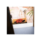 Product image Disney The Lion King Doormat Rule The Jungle 40 x 60 cm