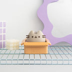 Product image Pusheen Money Box