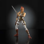 Produktbild Masters of the Universe 2026 Movie Chronicles Actionfigur